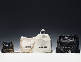 Sac Mini Chanel 22