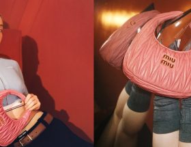 Miu Miu Wander Bag