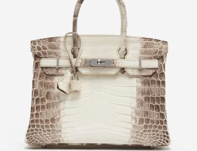 sac Hermes Birkin 30 Niloticus Himalaya Blanc